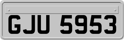 GJU5953