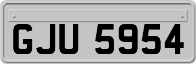 GJU5954