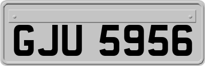 GJU5956