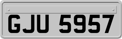 GJU5957