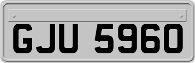 GJU5960