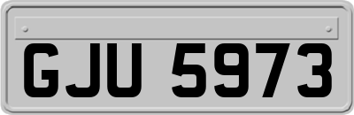 GJU5973