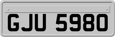 GJU5980
