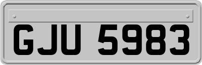 GJU5983