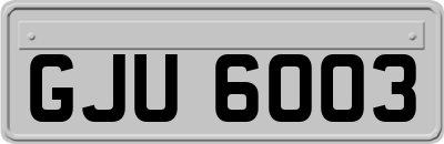 GJU6003