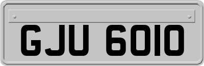 GJU6010