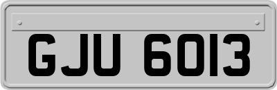 GJU6013