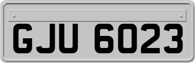 GJU6023