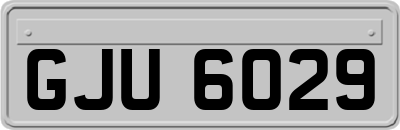 GJU6029