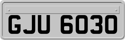 GJU6030