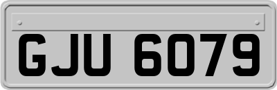 GJU6079