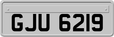 GJU6219