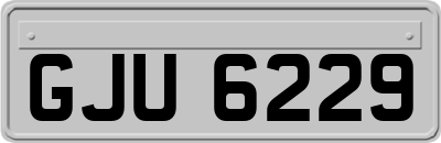 GJU6229