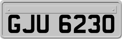 GJU6230