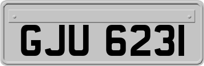 GJU6231