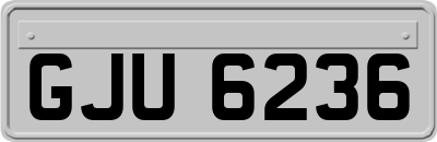 GJU6236