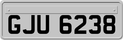 GJU6238