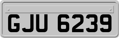 GJU6239
