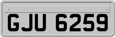 GJU6259