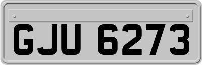 GJU6273