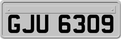 GJU6309