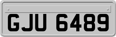 GJU6489