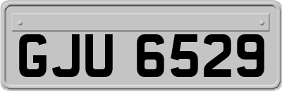 GJU6529