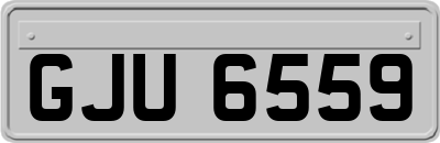 GJU6559