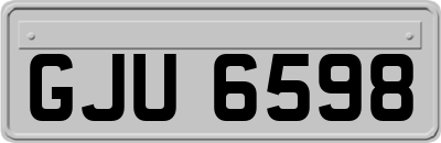 GJU6598