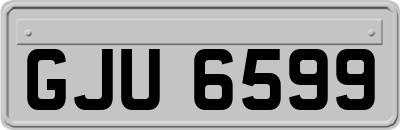 GJU6599