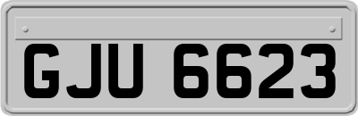 GJU6623