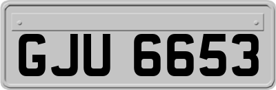 GJU6653