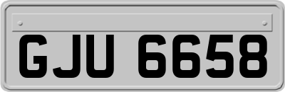 GJU6658
