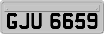 GJU6659