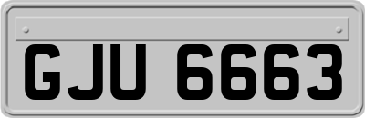 GJU6663