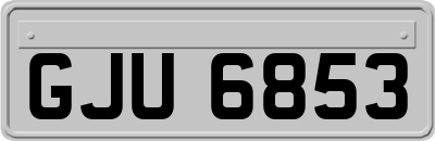 GJU6853