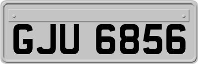 GJU6856