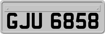 GJU6858