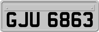 GJU6863