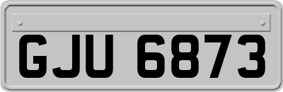 GJU6873