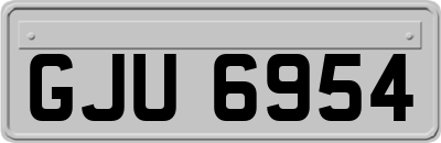 GJU6954