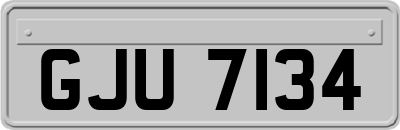 GJU7134