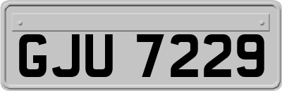 GJU7229