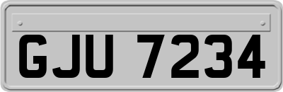 GJU7234