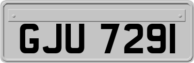 GJU7291