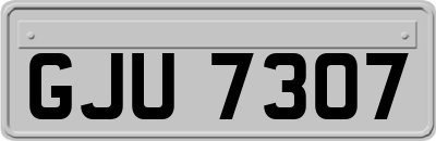 GJU7307