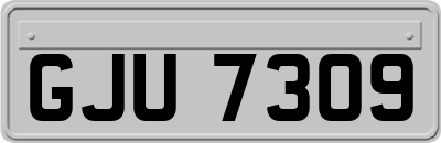 GJU7309