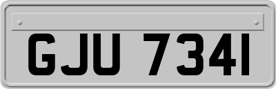 GJU7341