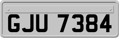 GJU7384