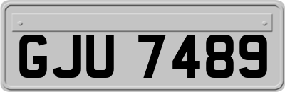 GJU7489